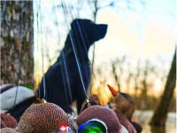 Thumbnail - Cabela's flyer Flyer