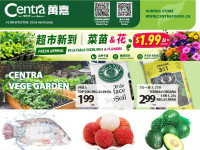 Thumbnail - Centra Food Market Flyer