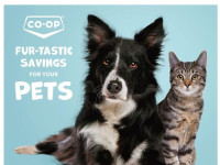 Thumbnail - Co-op weekly Flyer