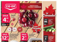 Thumbnail - Co-op weekly Flyer