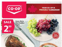 Thumbnail - Co-op weekly Flyer