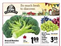 Farm Boy Base Flyer