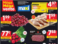 Thumbnail - Maxi flyer Flyer
