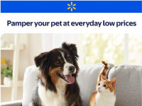 Thumbnail - Walmart cpdigest Flyer