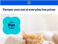 Thumbnail - Walmart cpdigest Flyer