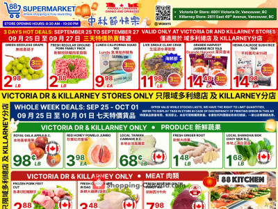 88 Supermarket Flyer Thumbnail