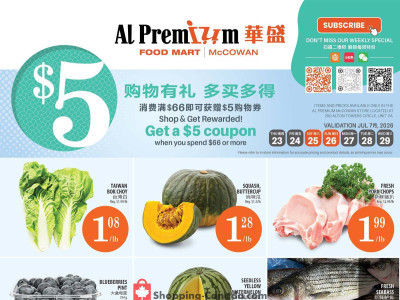 Al Premium Food Mart Outdated Flyer Thumbnail