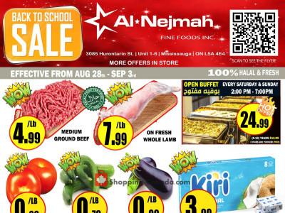 Alnejmah Flyer Thumbnail
