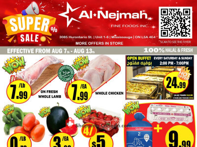 Alnejmah Flyer Thumbnail