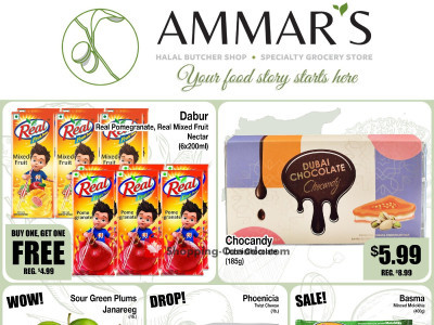 Ammar's Halal Meats Flyer