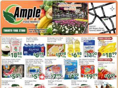 Ample Food Market Flyer