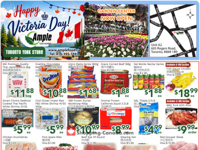 Ample Food Market Flyer