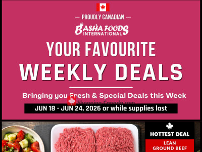 Basha Foods International Flyer