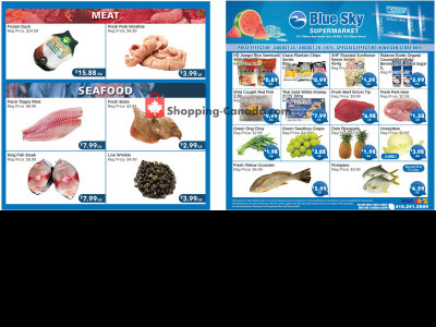 Thumbnail - Blue Sky Supermarket NORTH YORK Flyer