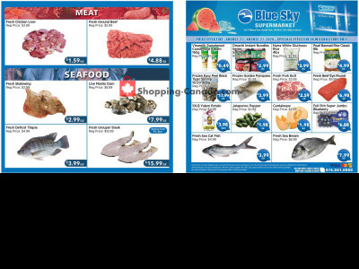 Blue Sky Supermarket NORTH YORK Flyer
