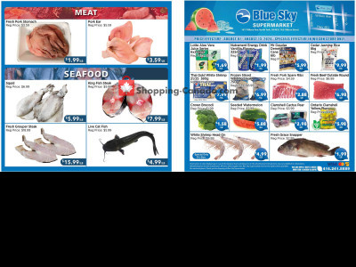 Blue Sky Supermarket NORTH YORK Flyer
