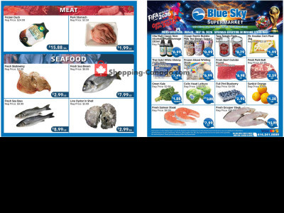 Blue Sky Supermarket NORTH YORK Flyer