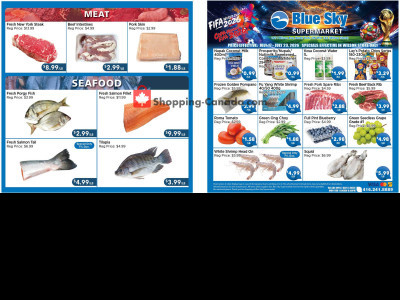 Blue Sky Supermarket NORTH YORK Flyer