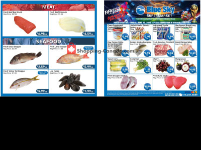 Blue Sky Supermarket NORTH YORK Flyer