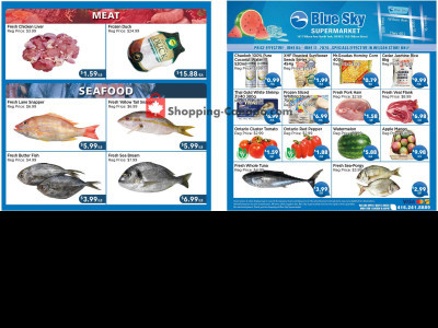 Blue Sky Supermarket NORTH YORK Flyer