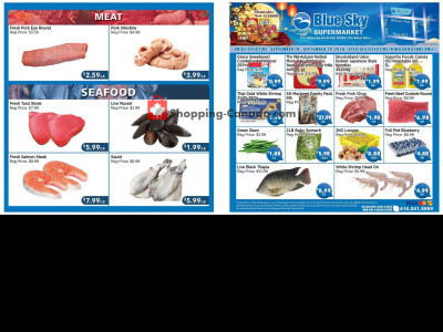 Blue Sky Supermarket NORTH YORK Flyer