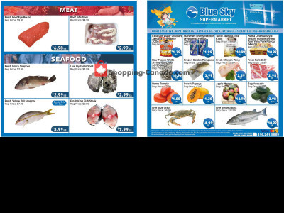 Blue Sky Supermarket NORTH YORK Flyer