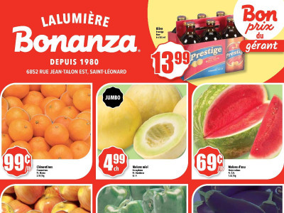 Bonanza Lalumière Flyer