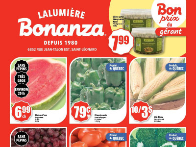 Bonanza Lalumière Flyer