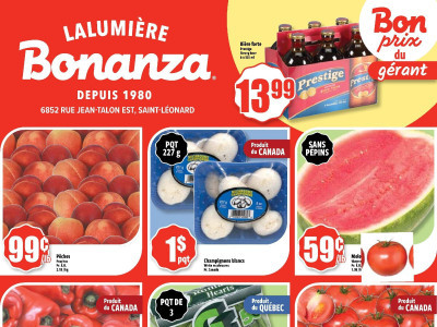 Bonanza Lalumière Flyer