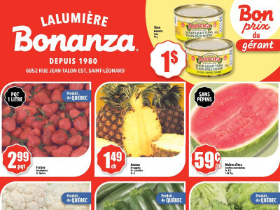 Bonanza Lalumière Flyer