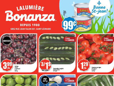 Bonanza Lalumière Flyer