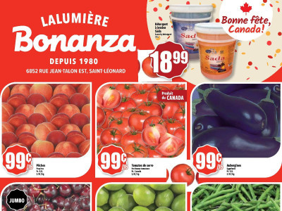 Bonanza Lalumière Flyer