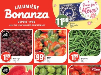 Bonanza Lalumière Flyer