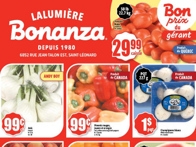 Bonanza Lalumière Flyer Thumbnail