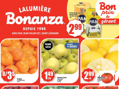 Thumbnail - Bonanza Lalumière Flyer