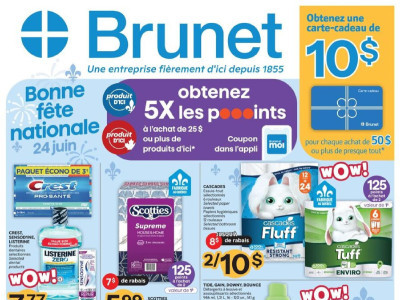 Brunet circulaire Flyer