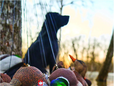 Thumbnail - Cabela's EN Flyer