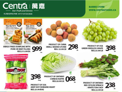 Centra Food Market Flyer