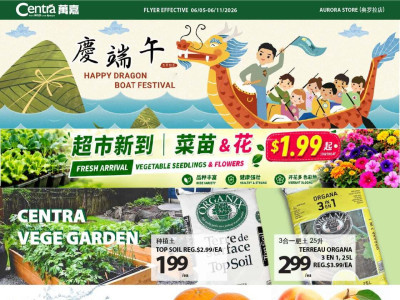 Centra Food Market Flyer