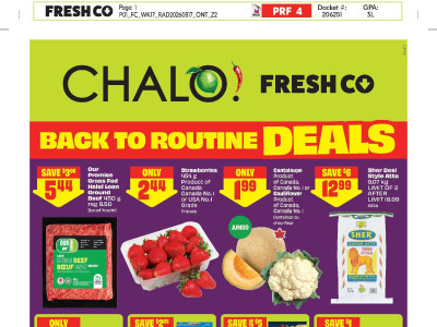 Chalo FreshCo flyer Flyer
