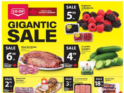 Co-op weekly Flyer