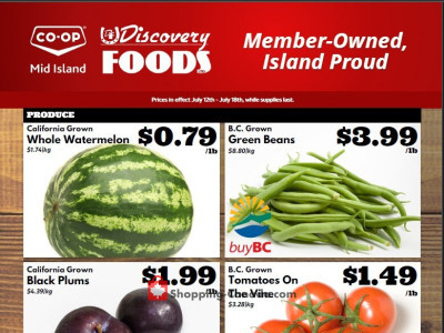 Discovery Foods Flyer Thumbnail