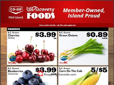 Discovery Foods Flyer Thumbnail