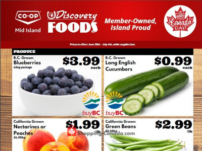 Discovery Foods Flyer