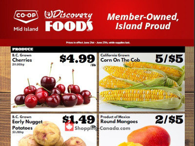 Discovery Foods Outdated Flyer Thumbnail - Sunday June 28, 2026 - Saturday June 27, 2026