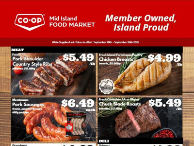 Discovery Foods Flyer Thumbnail