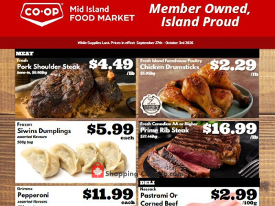 Discovery Foods Flyer Thumbnail