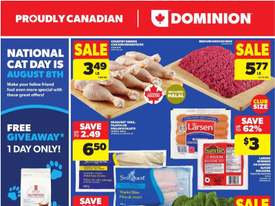 Dominion Flyer Thumbnail