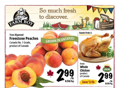 Farm Boy Flyer Thumbnail