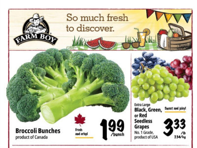 Farm Boy Base Flyer